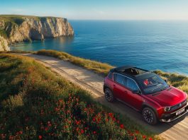 Red SUV parked on a dirt coastal road, with rugged cliffs, a blue sea, and a grassy foreground dotted with red flowers.